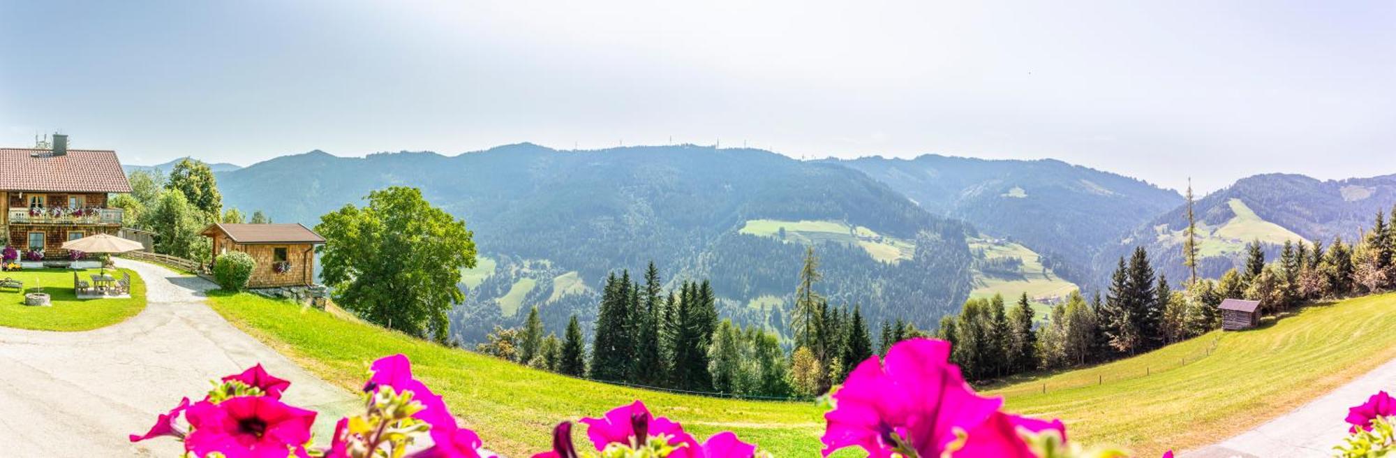 Landhaus Hochkoenig Mühlbach am Hochkönig المظهر الخارجي الصورة