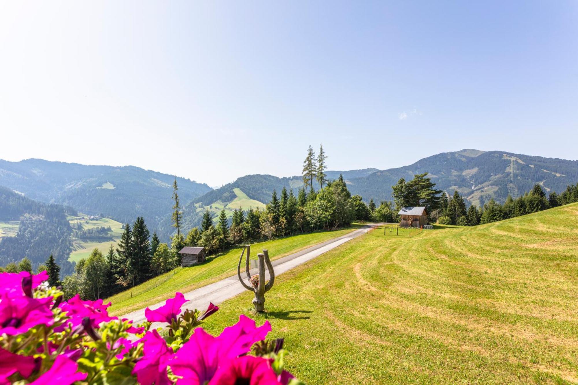 Landhaus Hochkoenig Mühlbach am Hochkönig المظهر الخارجي الصورة